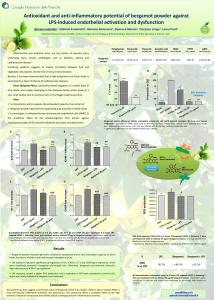 0 LPS Bergamot Bergamot + LPS