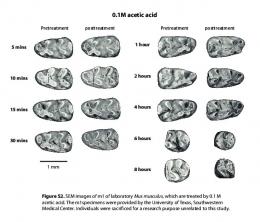 0.1M acetic acid - PLOS