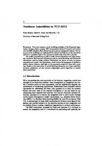 1 Nonlinear Instabilities in TCP-RED