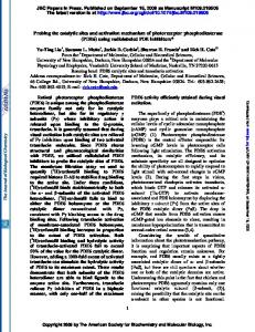 1 Probing the catalytic sites and activation mechanism of ... - CiteSeerX