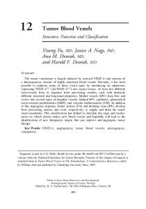 12 Tumor Blood Vessels - Springer Link