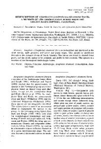 1997, pp. 461-471 RICHARD C. WILKERSON, MARIA ANICE M ...