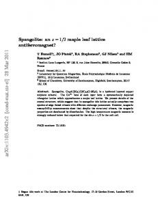 2 maple leaf lattice antiferromagnet?