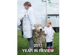 2017 year in review