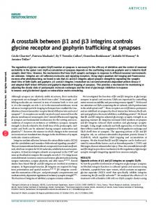 3 integrins controls glycine receptor and gephyrin trafficking at synapses