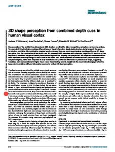 3D shape perception from combined depth cues in human visual cortex