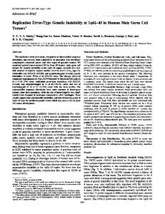 43in Human Male Germ Cell Tumors