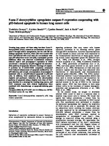 5-aza-2 -deoxycytidine upregulates caspase-9 expression ... - Nature