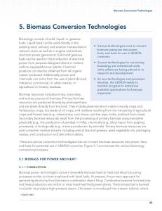 5. Biomass Conversion Technologies