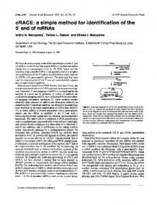 5' end of mRNAs - NCBI