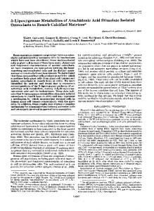 5-Lipoxygenase Metabolites of Arachidonic Acid ... - Semantic Scholar