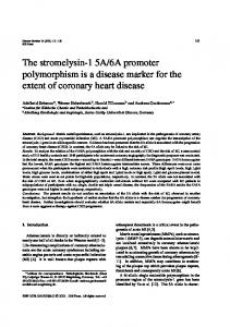 6A promoter polymorphism