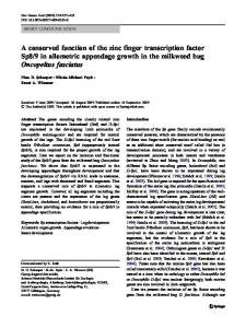 A conserved function of the zinc finger transcription ... - BioMedSearch