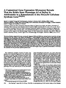 A Customized Gene Expression Microarray ... - Plant Physiology