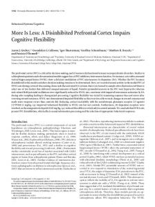 A Disinhibited Prefrontal Cortex Impairs Cognitive Flexibility