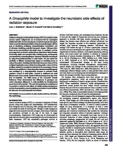 A Drosophila model to investigate the neurotoxic side effects of ...