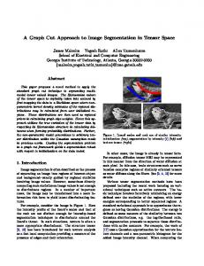 A Graph Cut Approach to Image Segmentation in ... - James Malcolm