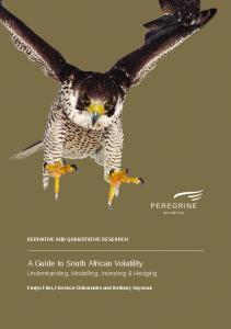 A Guide to South African Volatility