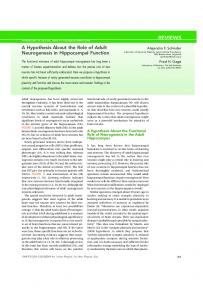 A Hypothesis About the Role of Adult Neurogenesis in Hippocampal ...