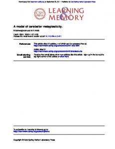 A model of cerebellar metaplasticity.