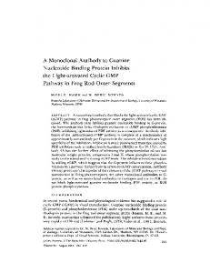 A Monoclonal Antibody to Guanine Nucleotide ... - BioMedSearch