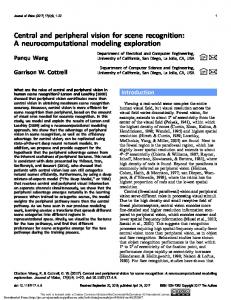 A neurocomputational modeling exploration - Semantic Scholar