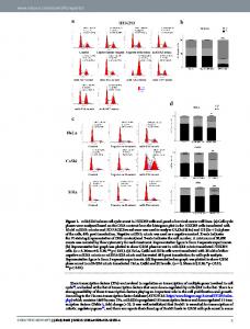 A novel microRNA, hsa-miR-6852 differentially ... - Naturewww.researchgate.net › publication › fulltext › A-novel-