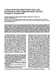 A Novel Small Heat Shock Protein Gene, vis1 ... - Plant Physiology