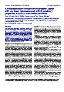 A novel tetracycline-dependent expression vector ... - BioMedSearch