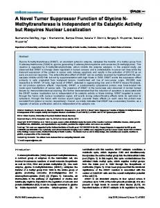 A Novel Tumor Suppressor Function of Glycine N ... - Semantic Scholar