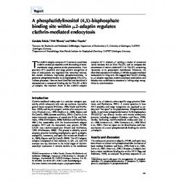 A phosphatidylinositol (4,5)-bisphosphate binding site ... - CiteSeerX