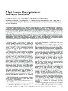 A Post Genomic Characterization of Arabidopsis ... - Plant Physiology