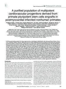 A purified population of multipotent cardiovascular progenitors derived ...