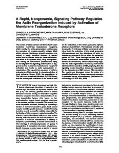 A Rapid, Nongenomic, Signaling Pathway