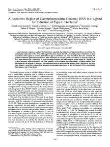 A Repetitive Region of Gammaherpesvirus ... - Journal of Virology