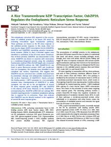 A Rice Transmembrane bZIP Transcription Factor ...