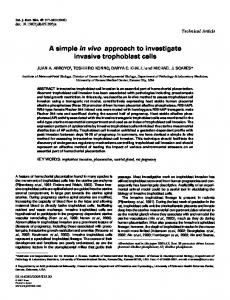 A simple in vivo approach to investigate invasive trophoblast cells