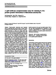A split luciferase complementation assay for studying ... - Springer Link