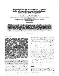 A window into Paleocene to Early Eocene depositional history in ...