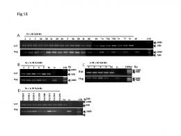 ABCD Fig 1 Fig S1 - PLOS