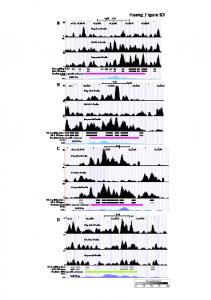 ABCD Huang_Figure S3 - PLOS