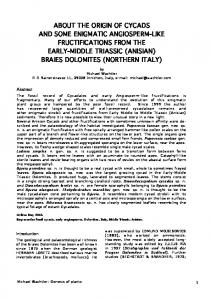 about the origin of cycads and some enigmatic ...