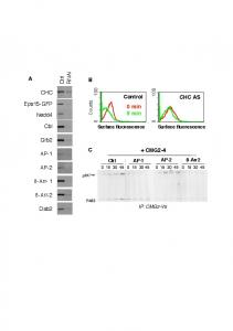 Abrami Suppl Figures.pptx - PLOS