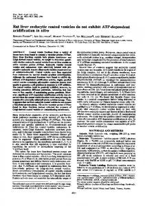 acidification in vitro