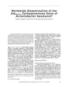 Acinetobacter baumannii - BioMedSearch