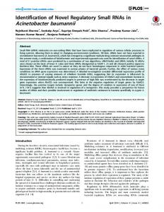 Acinetobacter baumannii - PLOS