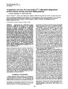 Acquisition and loss of a neuronal Ca2+/calmodulin ... - Europe PMC