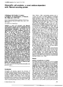 actin filament-severing protein - NCBI