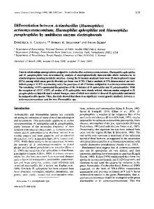 actinomycetemcomitans, Haemophilus aphrophilus and ... - CiteSeerX