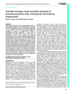 Activated microglia cause reversible apoptosis of pheochromocytoma ...